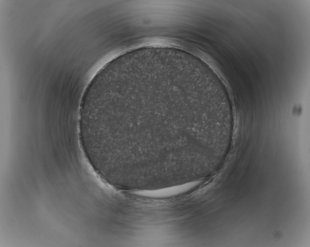 X0000112060853200909151024