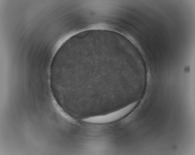 X0000112060854200909151024