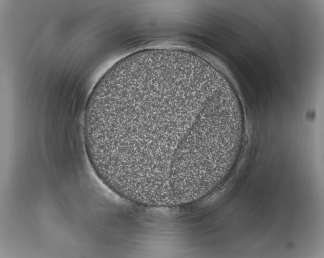 X0000112060855200909151024