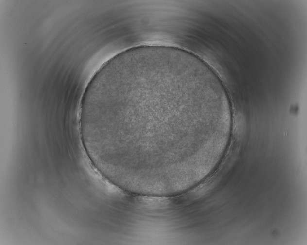X0000112060856200909151024