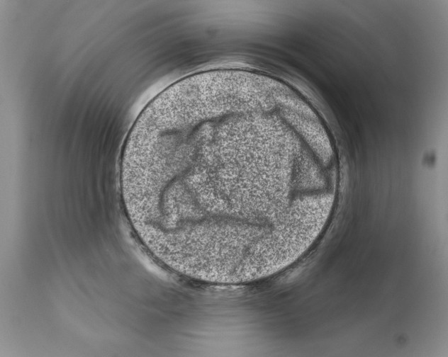 X0000112060858200909151024