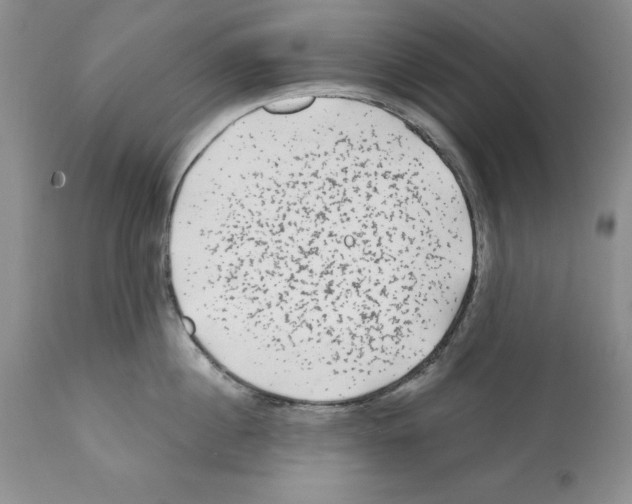 X0000112060860200909151024