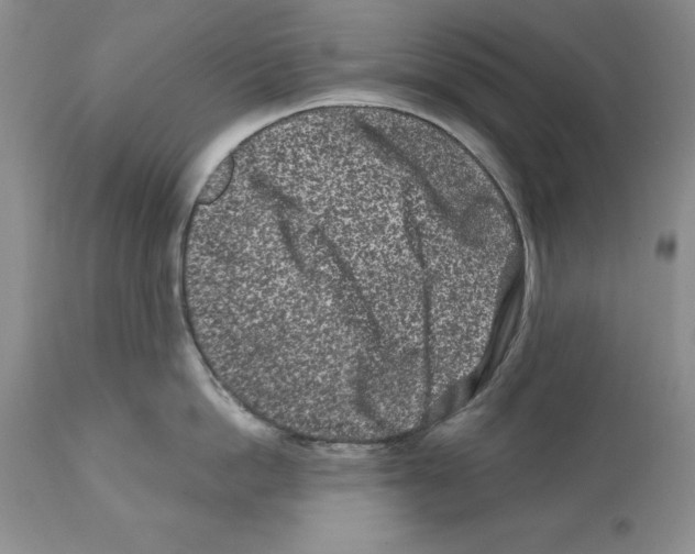 X0000112060862200909151024