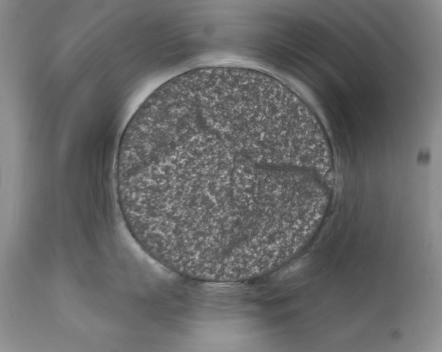 X0000112060863200909151024