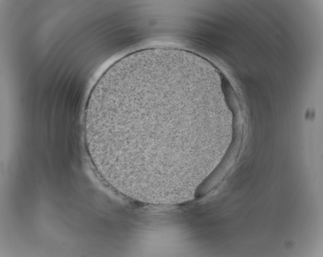 X0000112060864200909151024