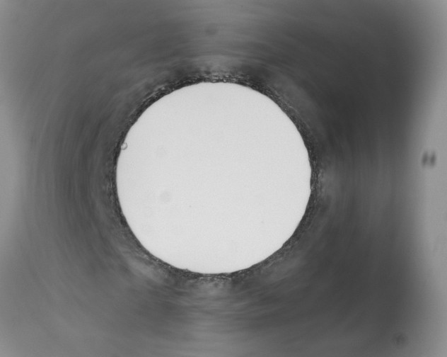 X0000112060865200909151023