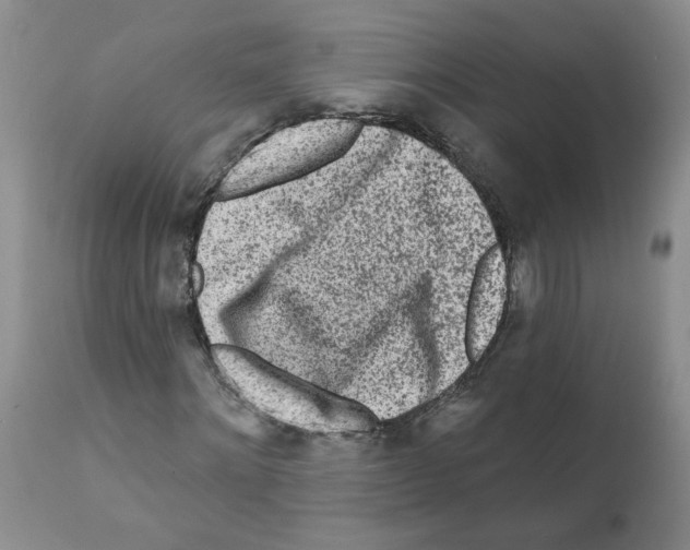 X0000112060868200909151023