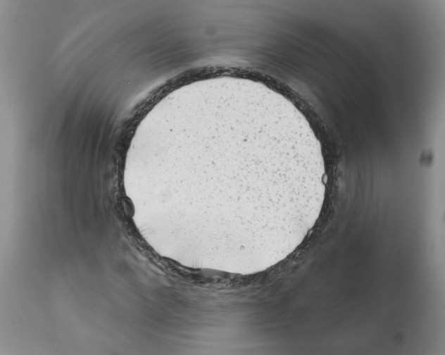 X0000112060872200909151023