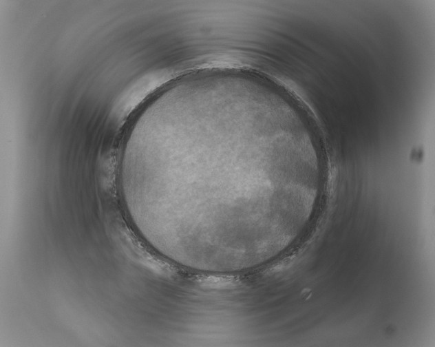 X0000112060874200909151023