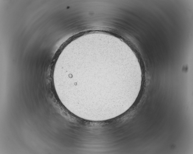 X0000112060875200909151023