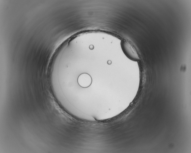 X0000112060876200909151023