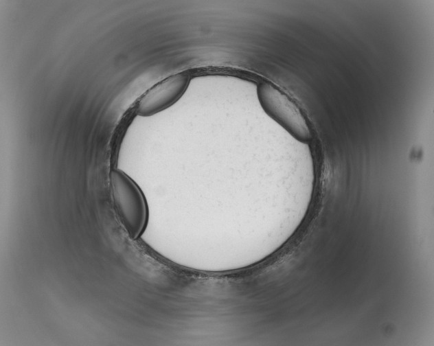 X0000112060877200909151023