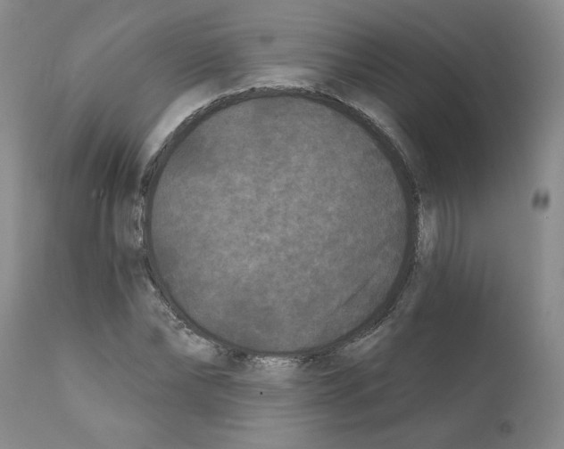 X0000112060878200909151023