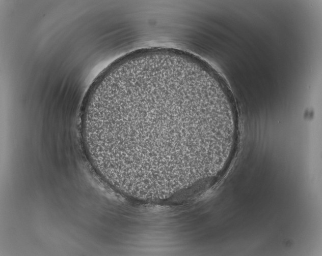 X0000112060879200909151023