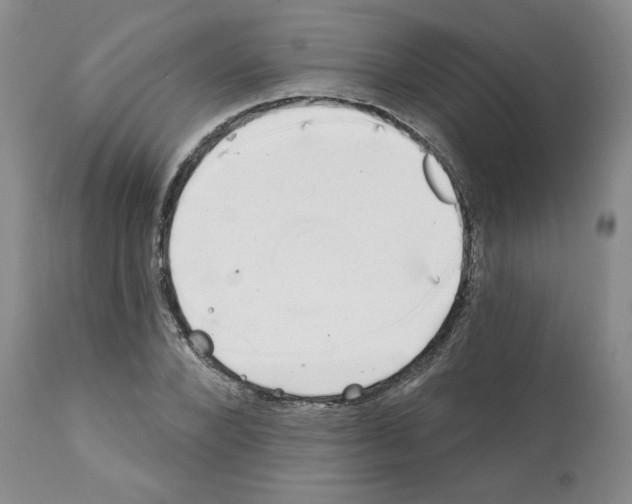 X0000112060880200909151023