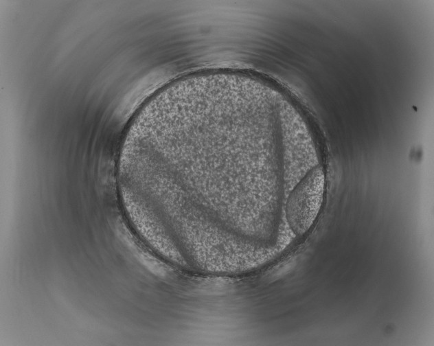 X0000112060881200909151023
