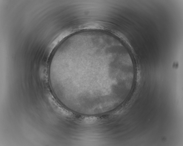 X0000112060882200909151023