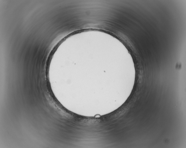 X0000112060884200909151023