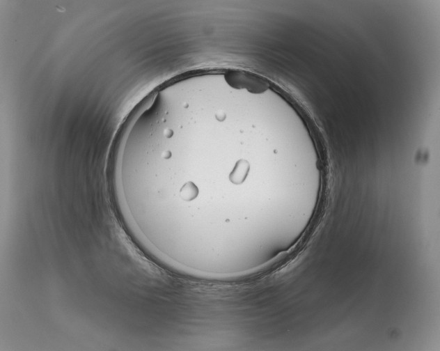 X0000112060885200909151023