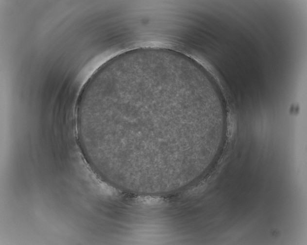 X0000112060886200909151023