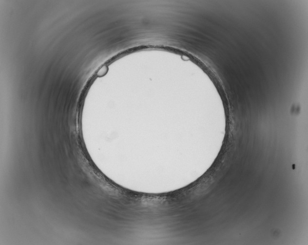 X0000112060887200909151023