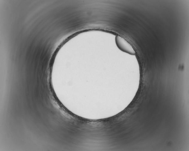 X0000112060888200909151023