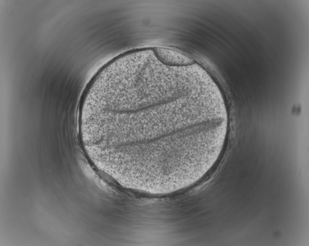 X0000112060892200909151023