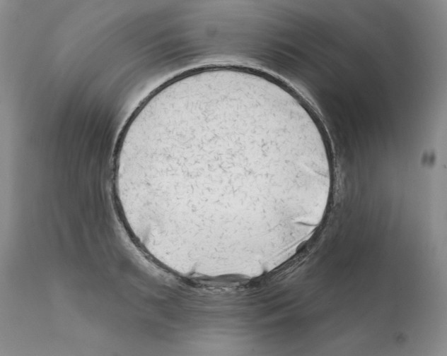 X0000112060895200909151023