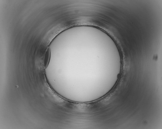X0000112060897200909151023