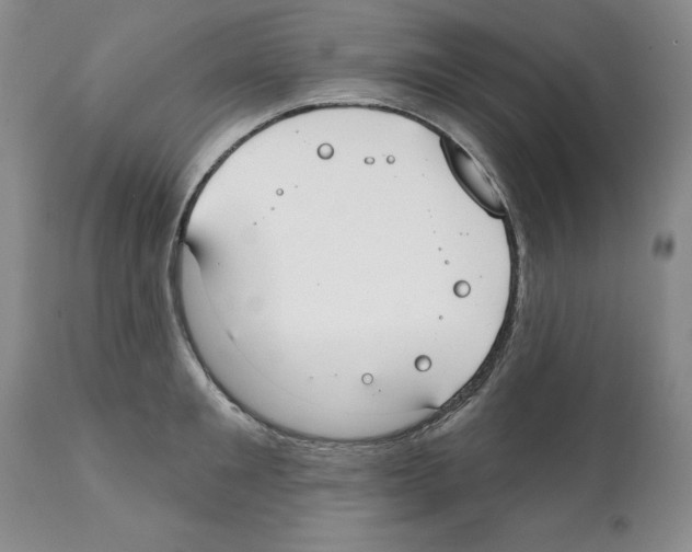 X0000112060901200909151023