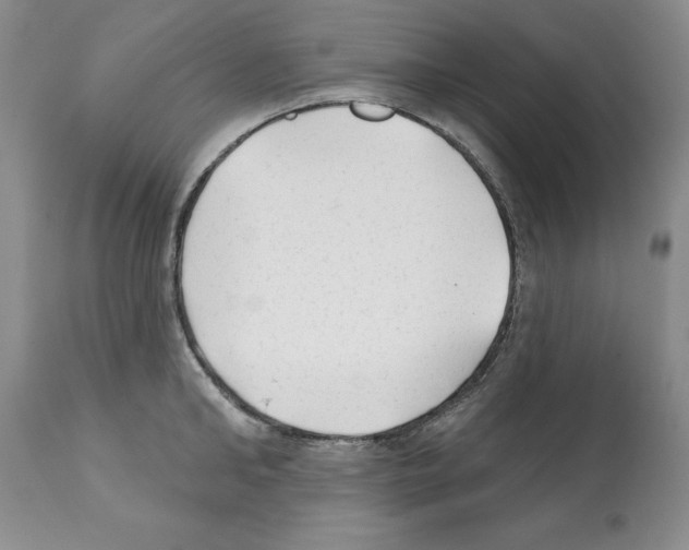 X0000112060902200909151023