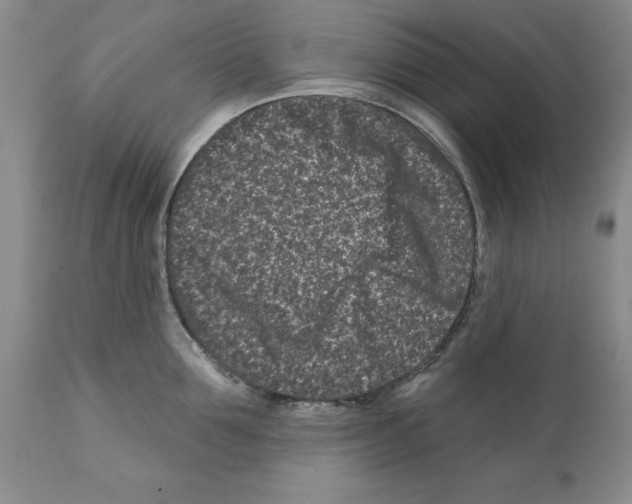 X0000112060907200909151023