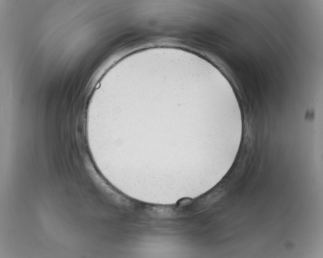 X0000112060911200909151023