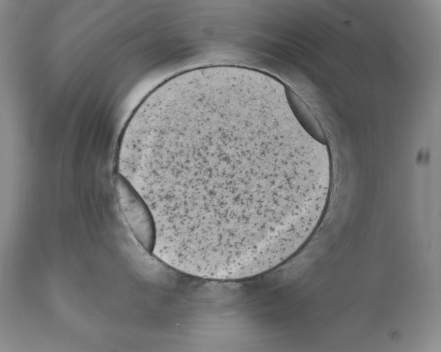 X0000112060912200909151023