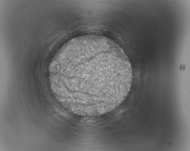 X0000112060913200909151022