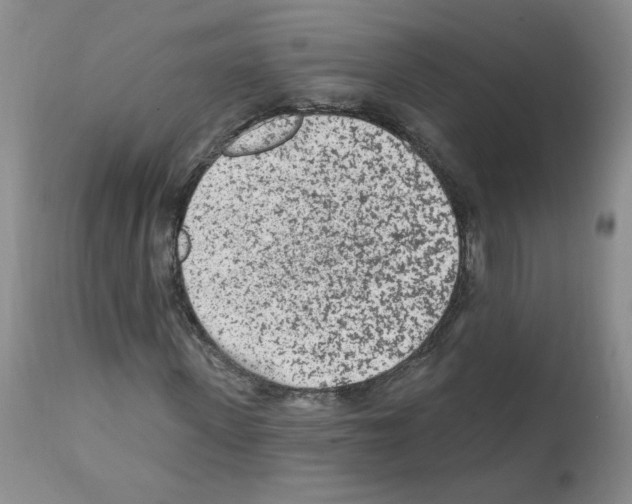 X0000112060915200909151022