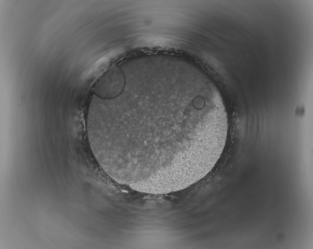 X0000112060918200909151022