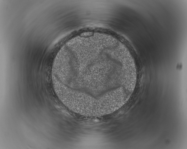 X0000112060919200909151022