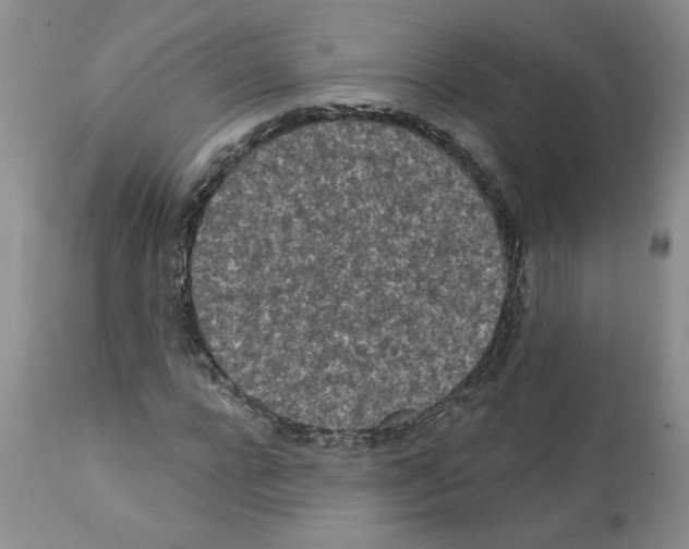 X0000112060920200909151022