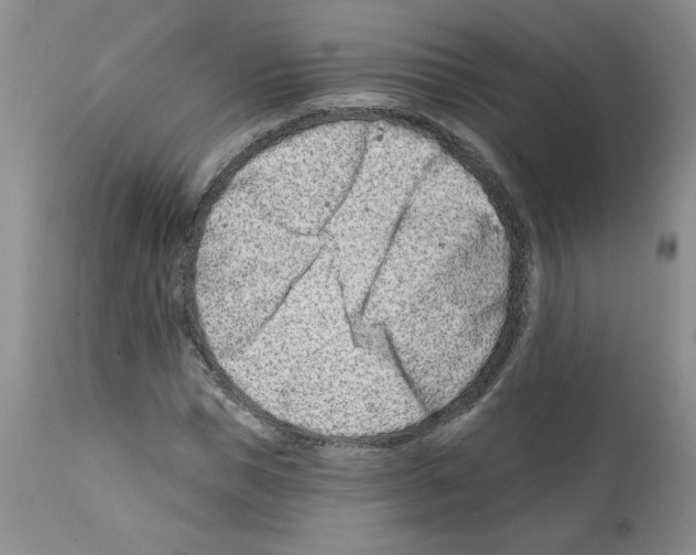 X0000112060921200909151022