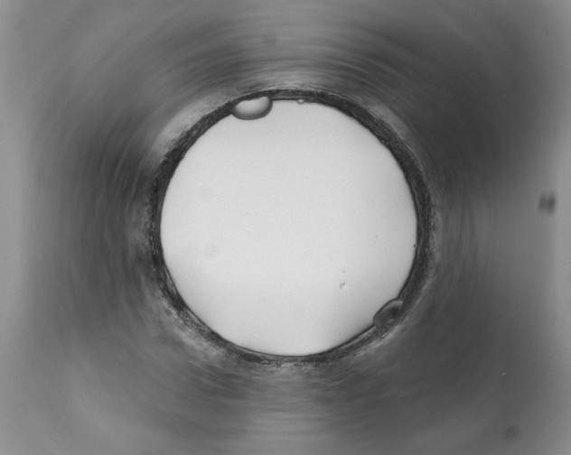 X0000112060922200909151022