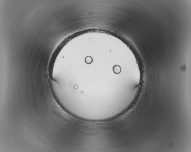 X0000112060924200909151022