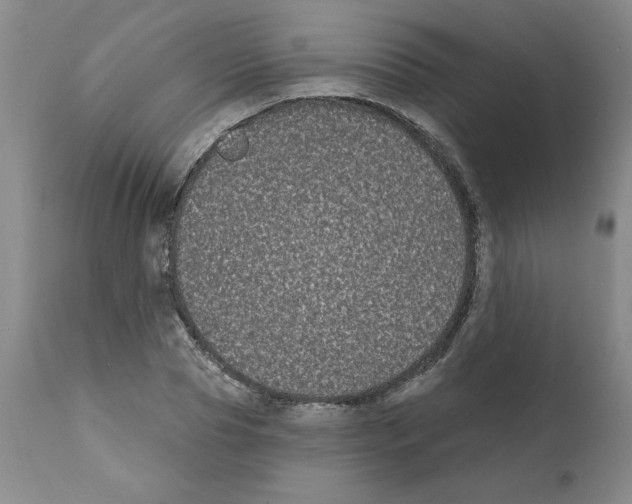 X0000112060929200909151022