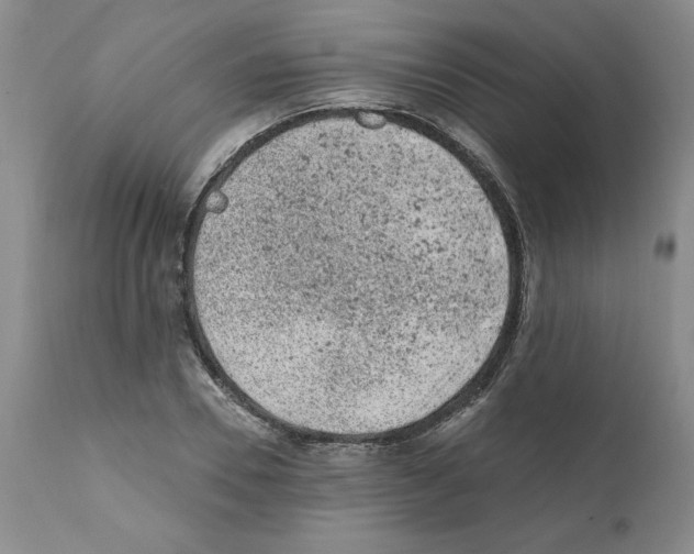 X0000112060930200909151022