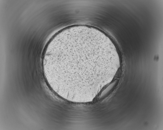 X0000112060932200909151022