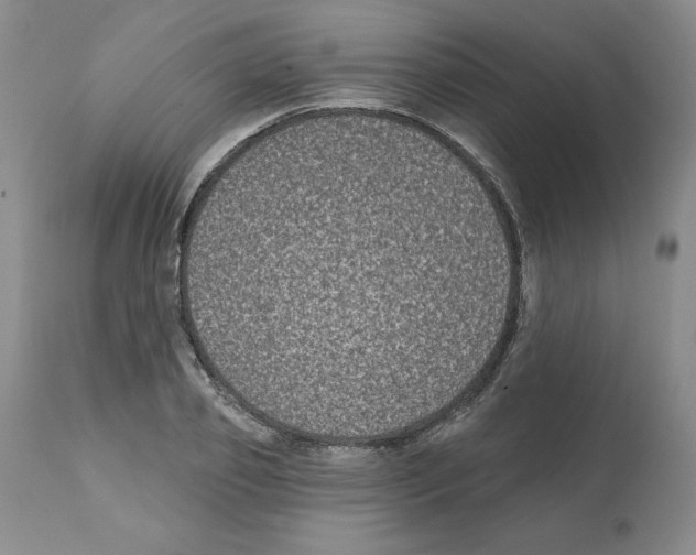 X0000112060933200909151022