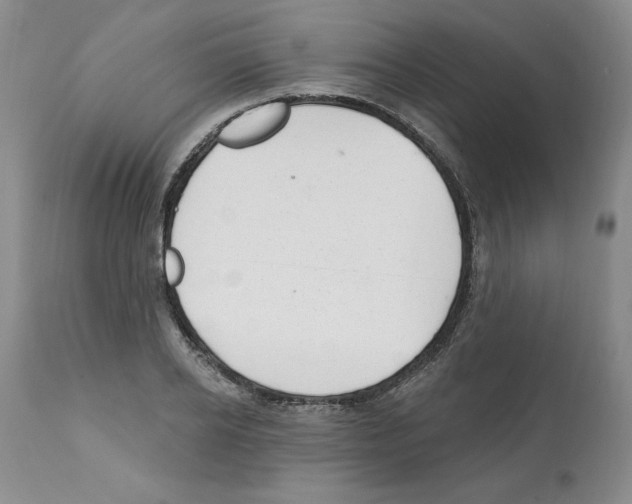 X0000112060934200909151022