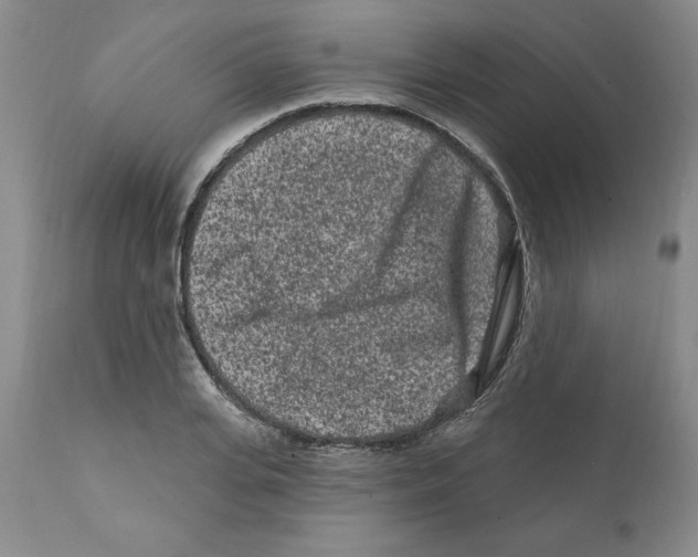 X0000112060935200909151022