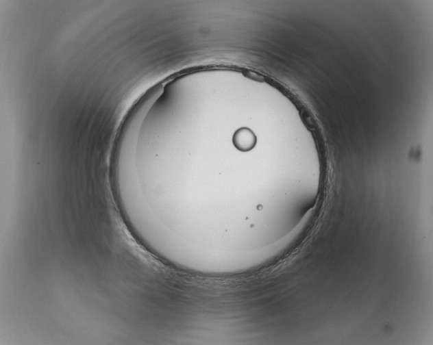 X0000112060936200909151022