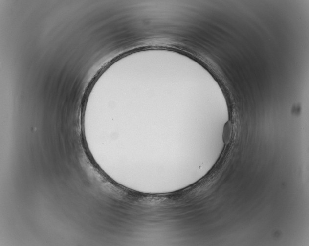 X0000112060939200909151022